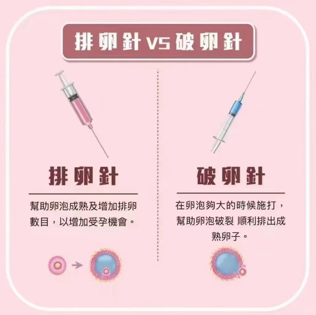 排卵针和破卵针 你还傻傻分不清嘛！！,代孕机构供卵,国内有没有代怀