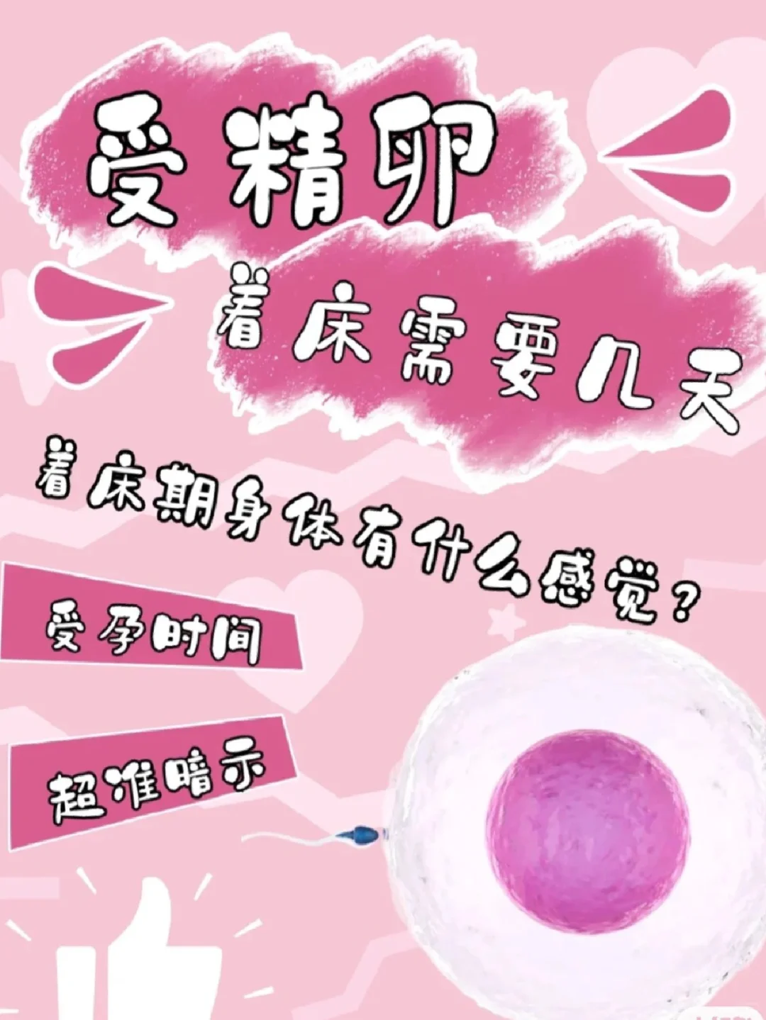 受孕过程！怀孕第一周什么感觉？,供卵代孕怎么找